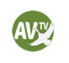 Av Tv